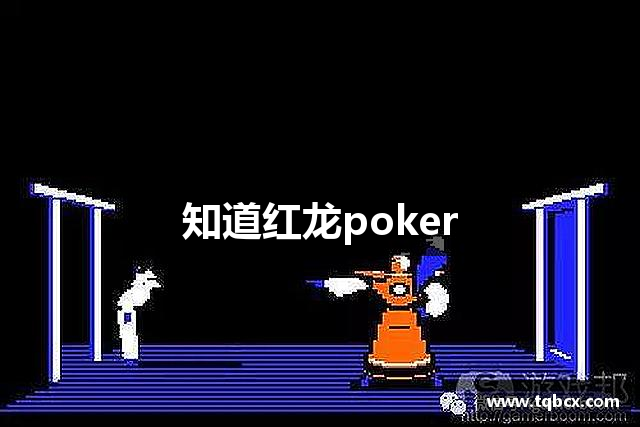 知道红龙poker